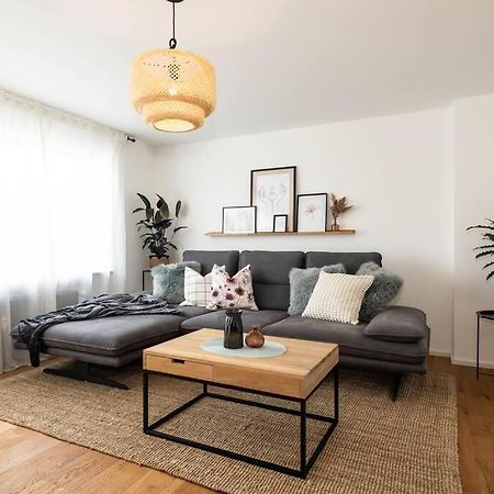 Luxury Apartment On The Rhein Busingen am Hochrhein المظهر الخارجي الصورة