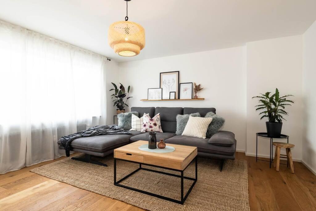 Luxury Apartment On The Rhein Busingen am Hochrhein المظهر الخارجي الصورة