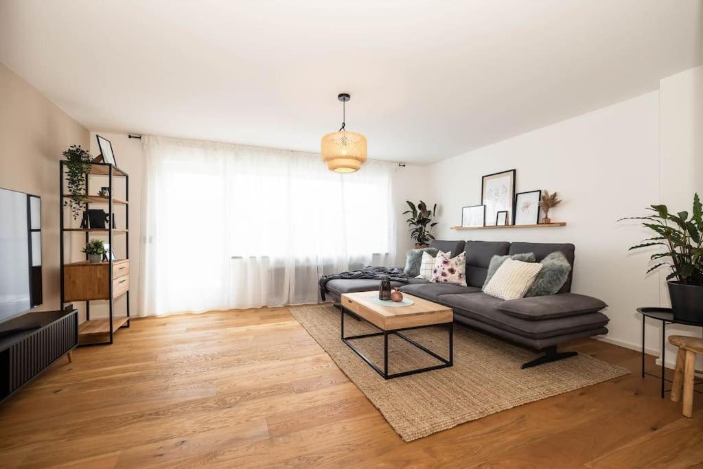 Luxury Apartment On The Rhein Busingen am Hochrhein المظهر الخارجي الصورة