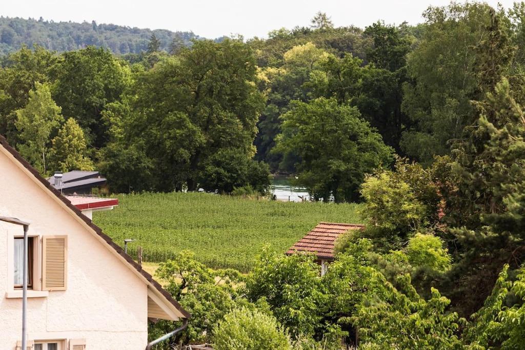 Luxury Apartment On The Rhein Busingen am Hochrhein المظهر الخارجي الصورة