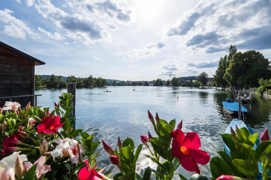 Luxury Apartment On The Rhein Busingen am Hochrhein المظهر الخارجي الصورة