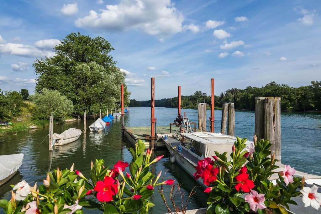 Luxury Apartment On The Rhein Busingen am Hochrhein المظهر الخارجي الصورة