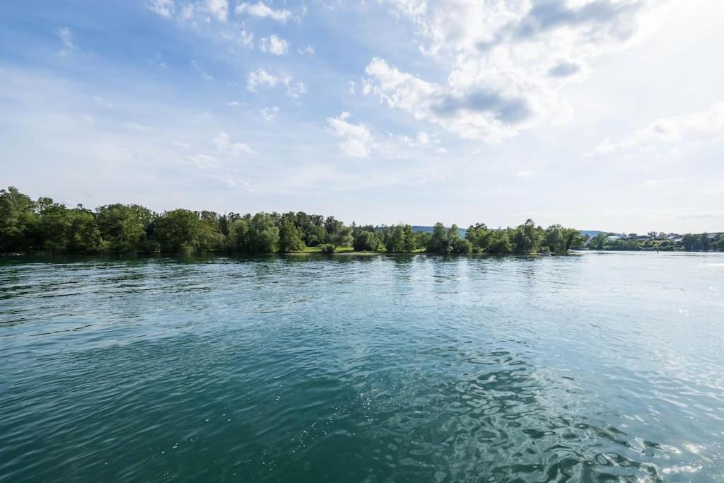 Luxury Apartment On The Rhein Busingen am Hochrhein المظهر الخارجي الصورة