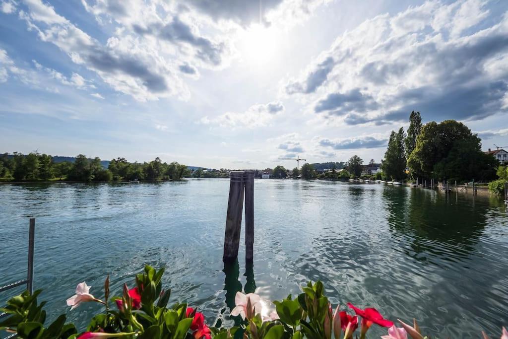 Luxury Apartment On The Rhein Busingen am Hochrhein المظهر الخارجي الصورة